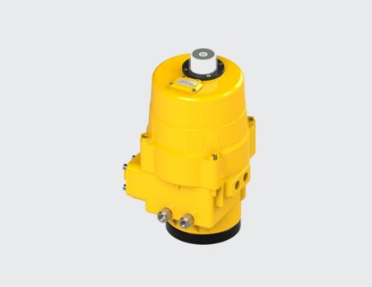 Picture of Electric Actuator EPQ545